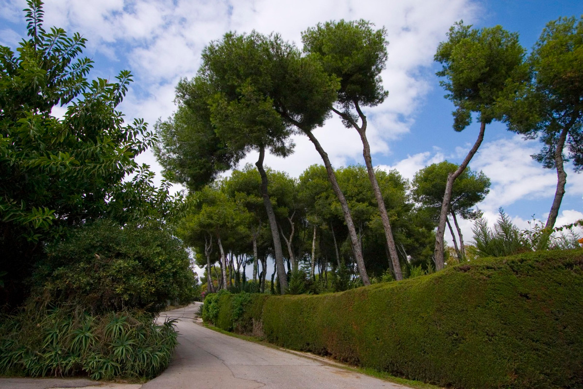 Plots for sale in La Mairena Costa Del Sol, Málaga, Spain