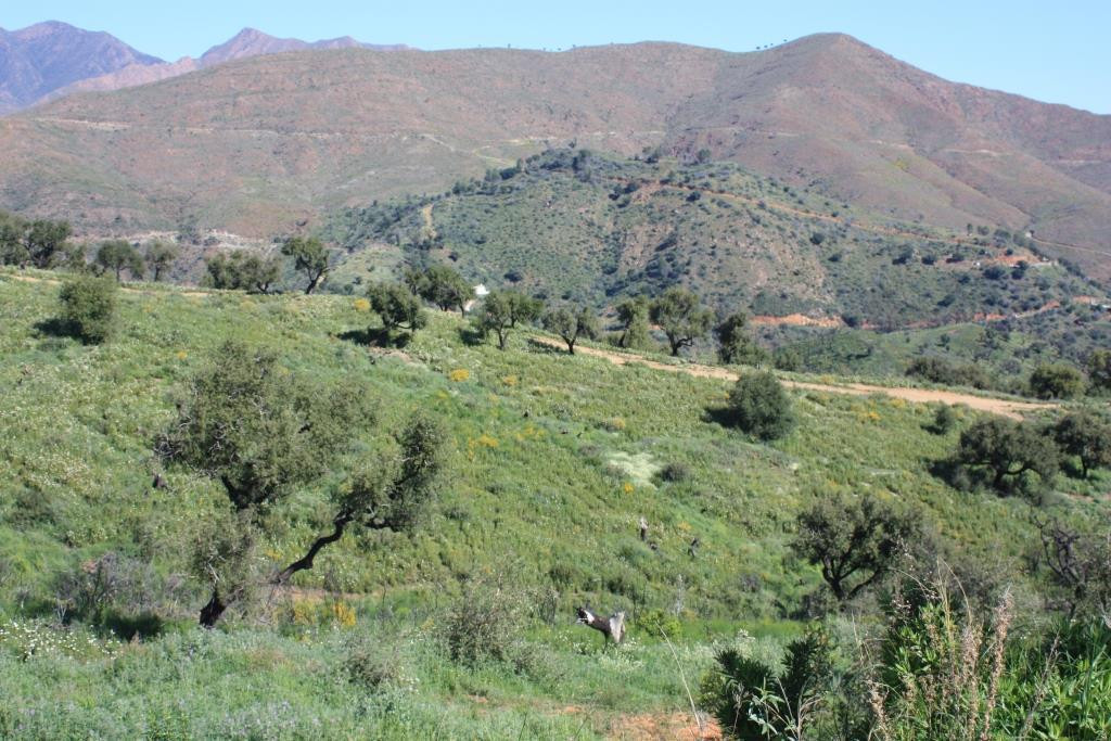 Plots for sale in La Mairena Costa Del Sol, Málaga, Spain