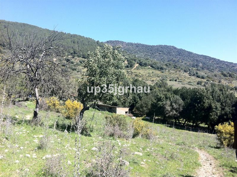Plots for sale in Gaucín Costa Del Sol, Málaga, Spain