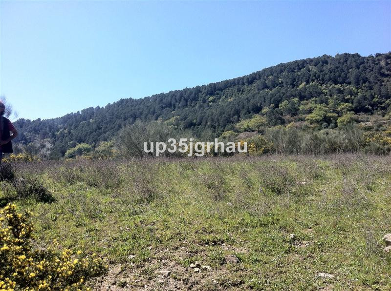 Plots for sale in Gaucín Costa Del Sol, Málaga, Spain