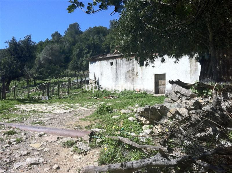 Plots for sale in Gaucín Costa Del Sol, Málaga, Spain