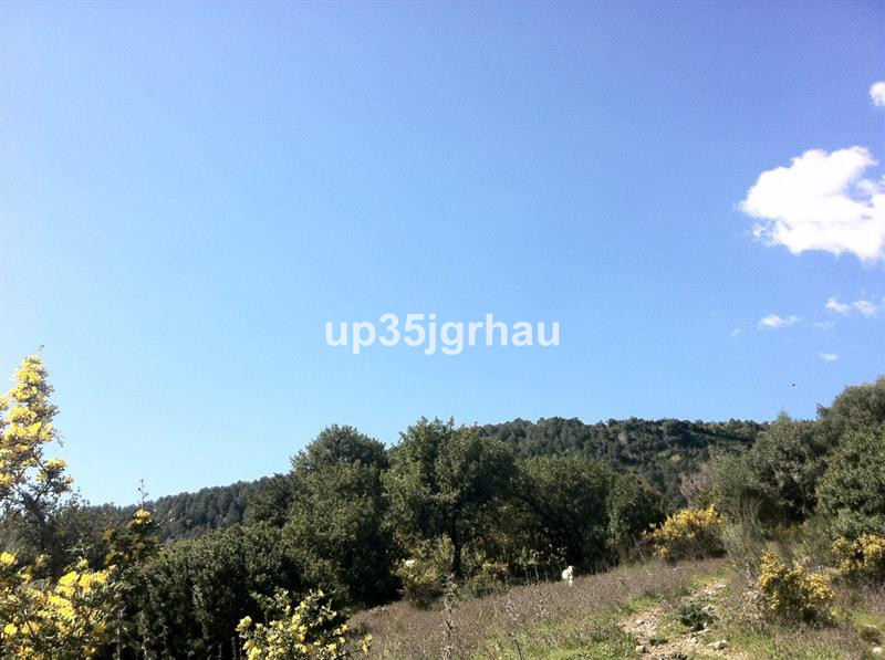 Plots for sale in Gaucín Costa Del Sol, Málaga, Spain