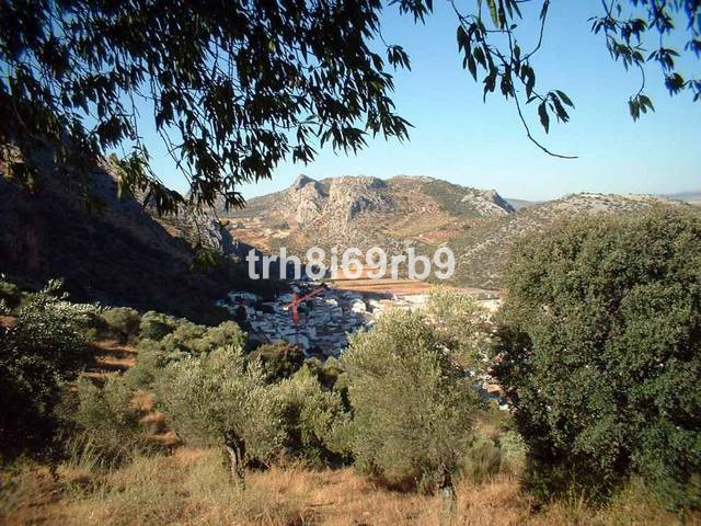 1 Bed Commercial unit for sale in Ronda Costa Del Sol, Málaga, Spain