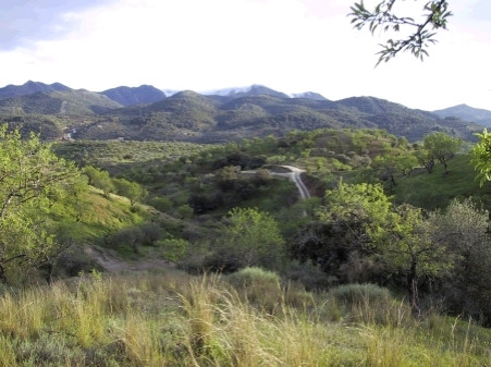 Se vende Terreno Rustico  en Costa Del Sol, Málaga, España