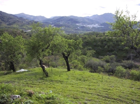 Se vende Terreno Rustico  en Costa Del Sol, Málaga, España