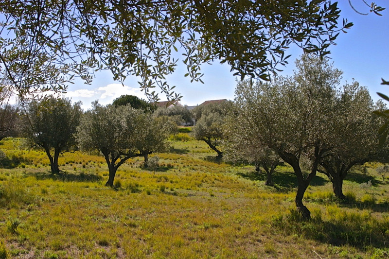 Se vende Villa - Chalet de 4 dormitorios en Costa Del Sol, Málaga, España