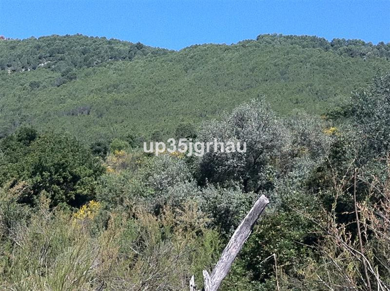 Se vende Terreno Rustico  en Costa Del Sol, Málaga, España