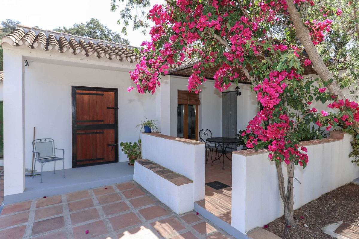 Se vende Cama y Desayuno de 7 dormitorios en Costa Del Sol, Málaga, España