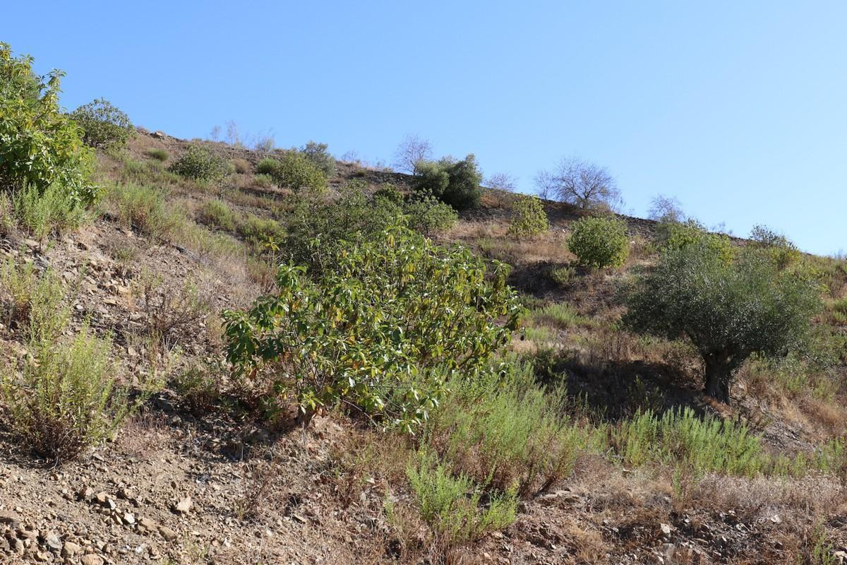 Se vende Terreno Rustico  en Costa Del Sol, Málaga, España