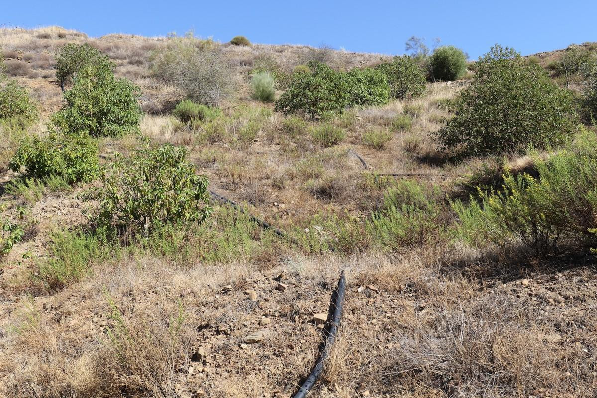 Se vende Terreno Rustico  en Costa Del Sol, Málaga, España