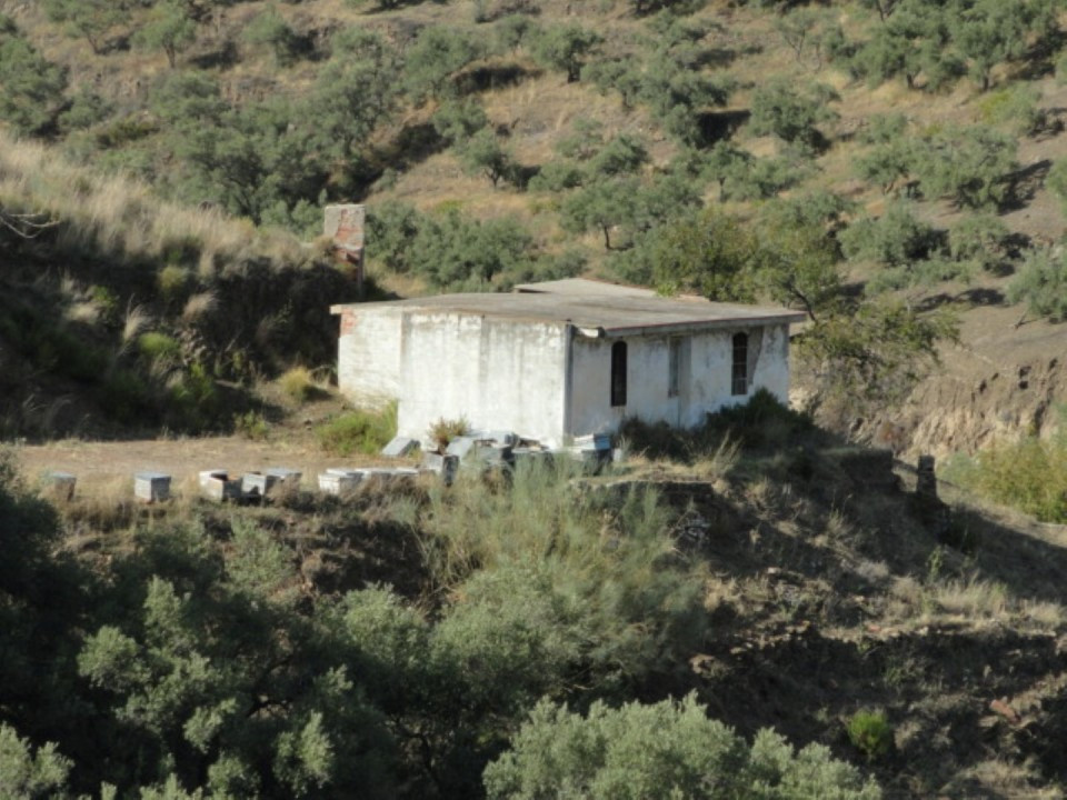 Se vende Terreno Rustico  en Costa Del Sol East, Málaga, España