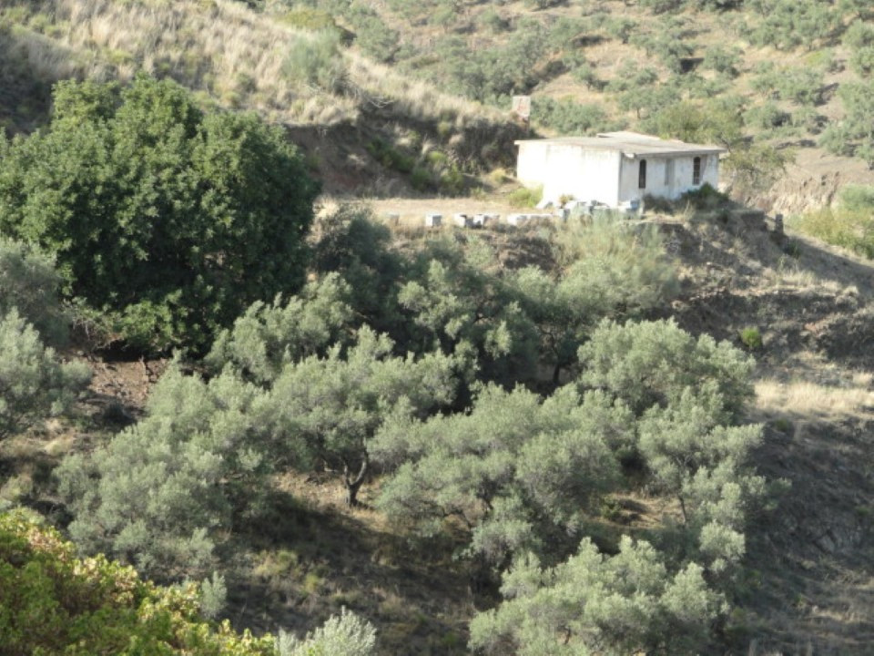 Se vende Terreno Rustico  en Costa Del Sol East, Málaga, España