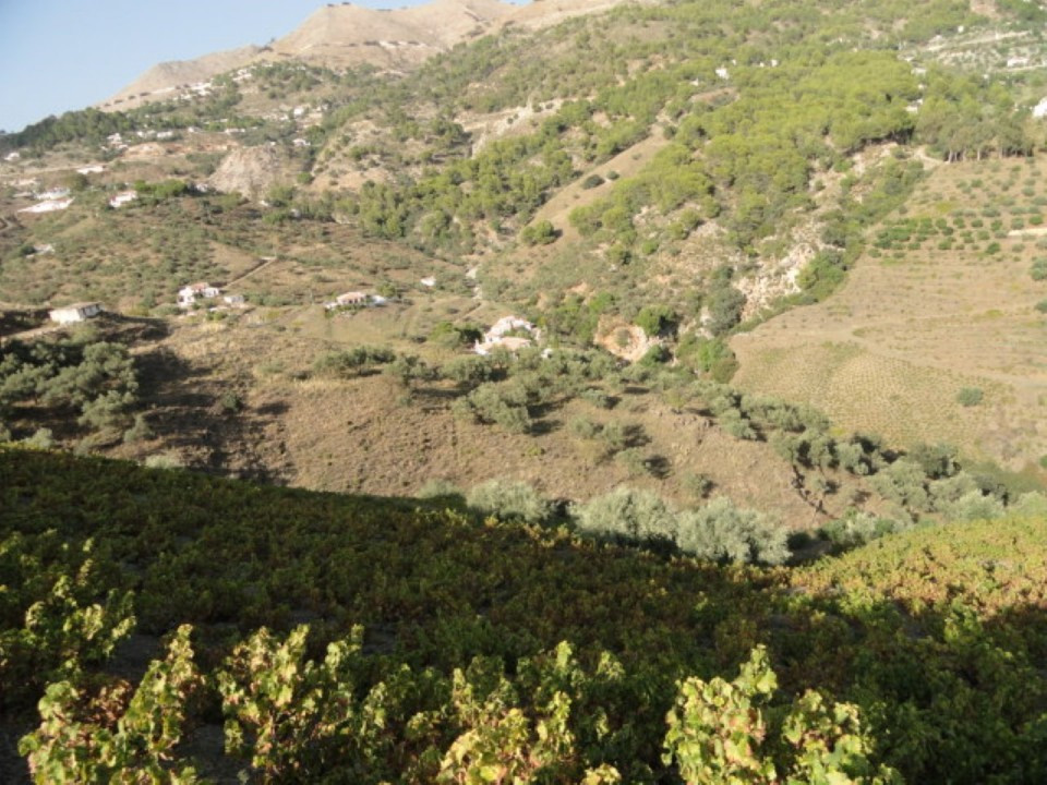 Se vende Terreno Rustico  en Costa Del Sol East, Málaga, España