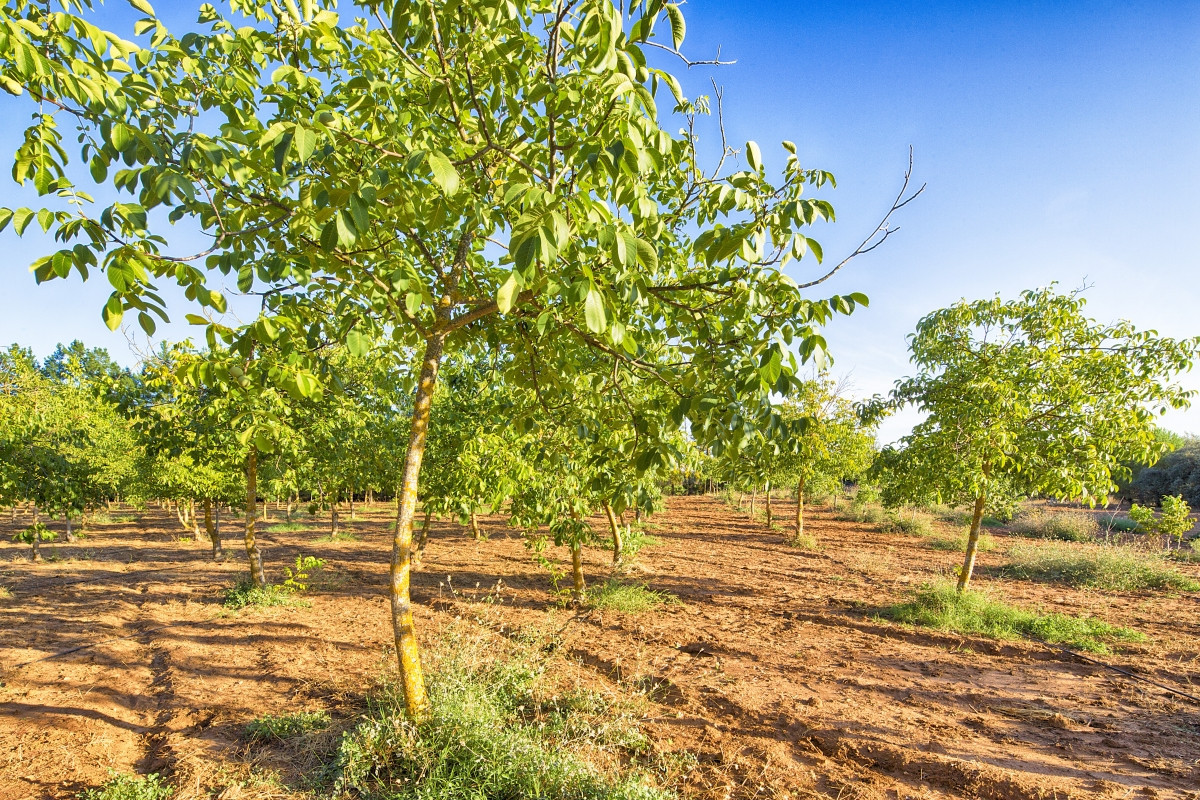 Se vende Granja de 3 dormitorios en Costa Del Sol, Málaga, España