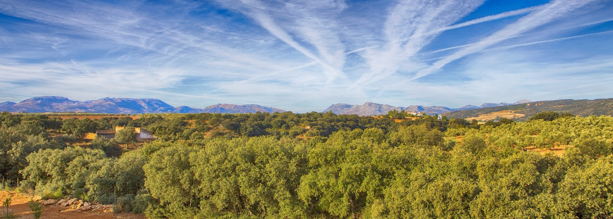 Se vende Granja de 3 dormitorios en Costa Del Sol, Málaga, España