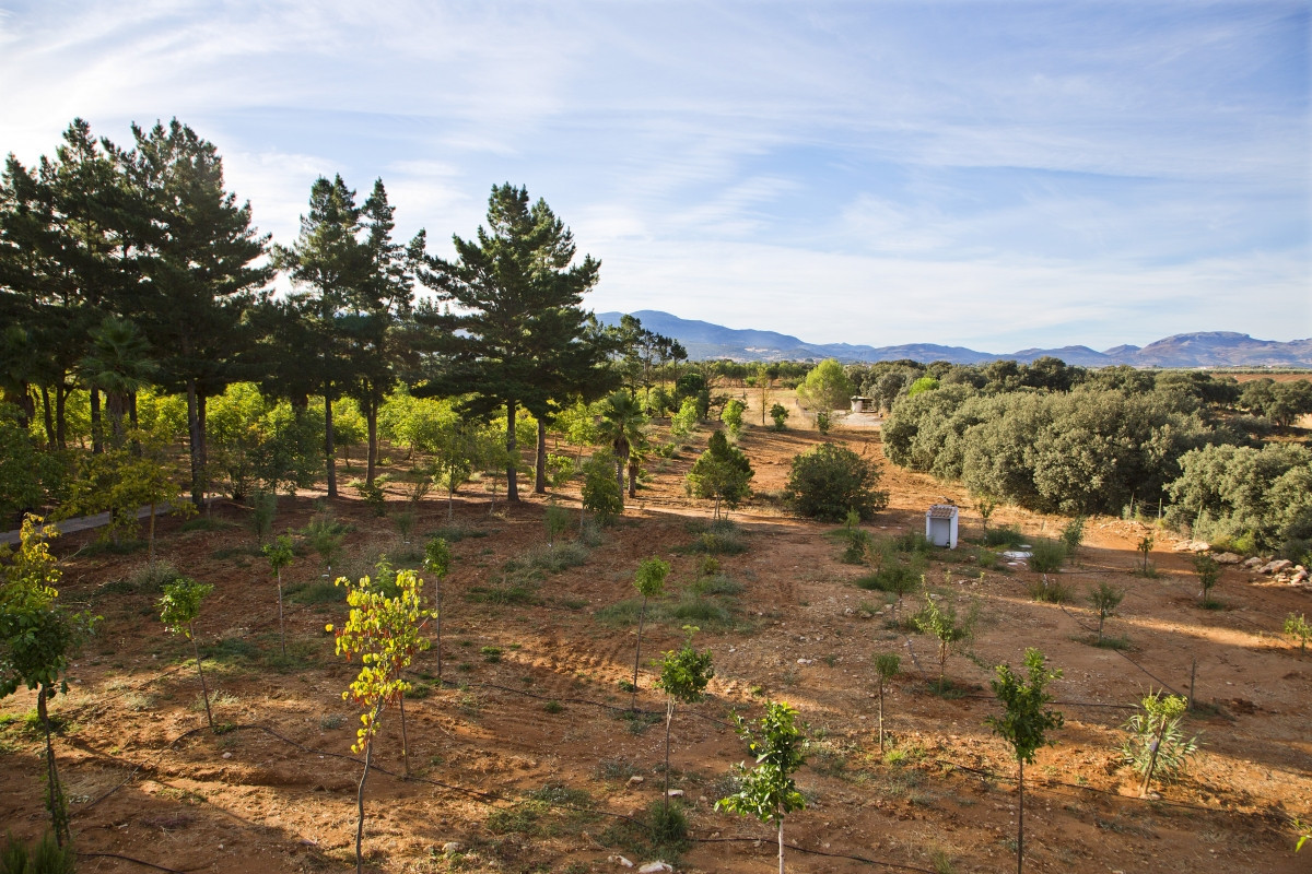 Se vende Granja de 3 dormitorios en Costa Del Sol, Málaga, España