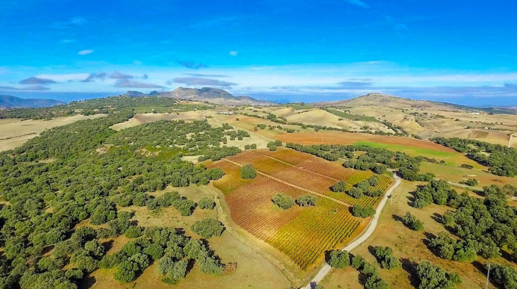 Se vende Finca - Cortijo de 7 dormitorios en Costa Del Sol, Málaga, España