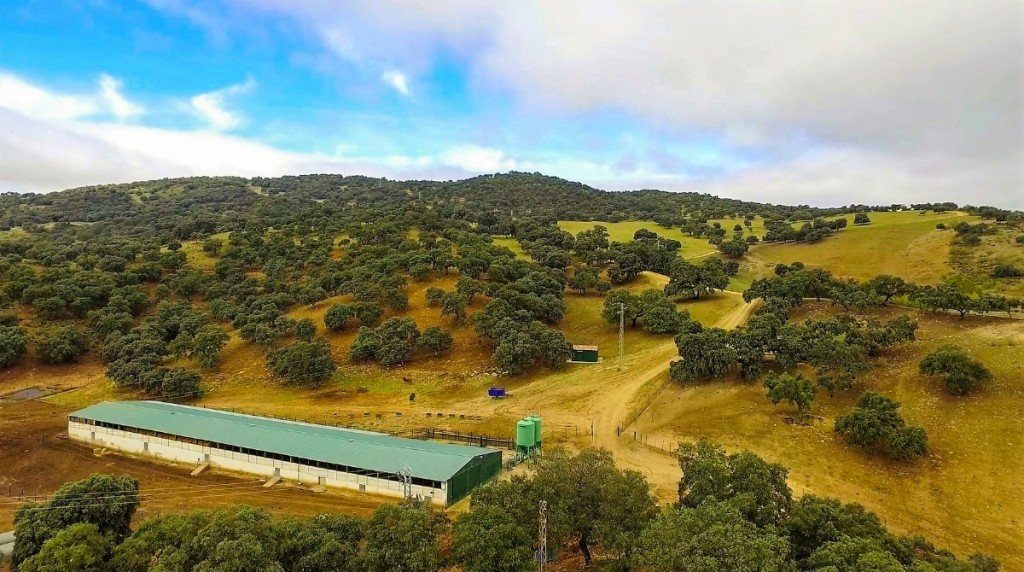 Se vende Finca - Cortijo de 7 dormitorios en Costa Del Sol, Málaga, España