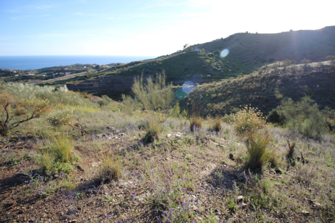 Plots for sale in Benajarafe Costa Del Sol East, Málaga, Spain