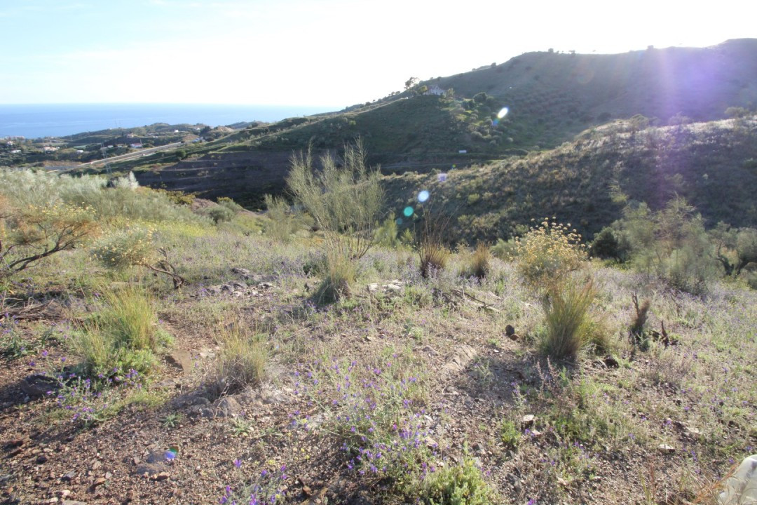 Plots for sale in Benajarafe Costa Del Sol East, Málaga, Spain
