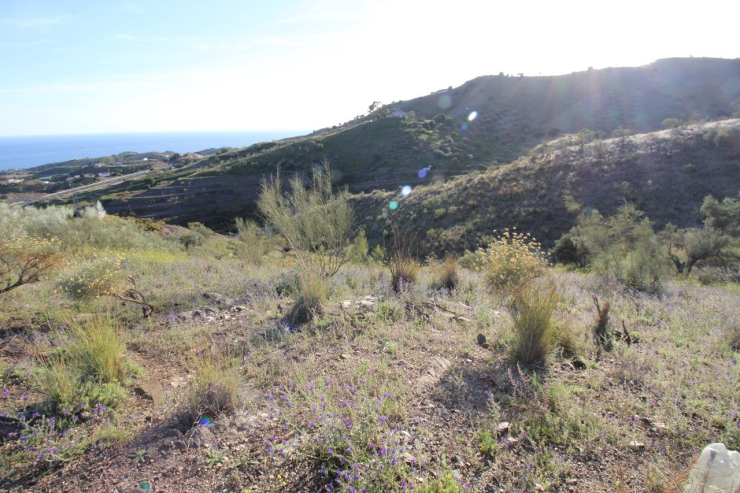 Plots for sale in Benajarafe Costa Del Sol East, Málaga, Spain