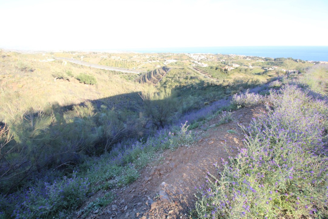 Plots for sale in Benajarafe Costa Del Sol East, Málaga, Spain