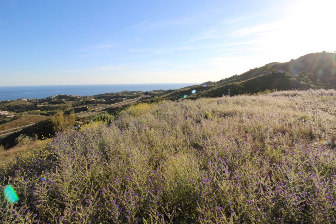 Plots for sale in Benajarafe Costa Del Sol East, Málaga, Spain