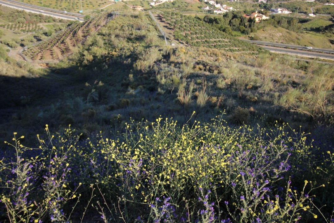 Plots for sale in Benajarafe Costa Del Sol East, Málaga, Spain