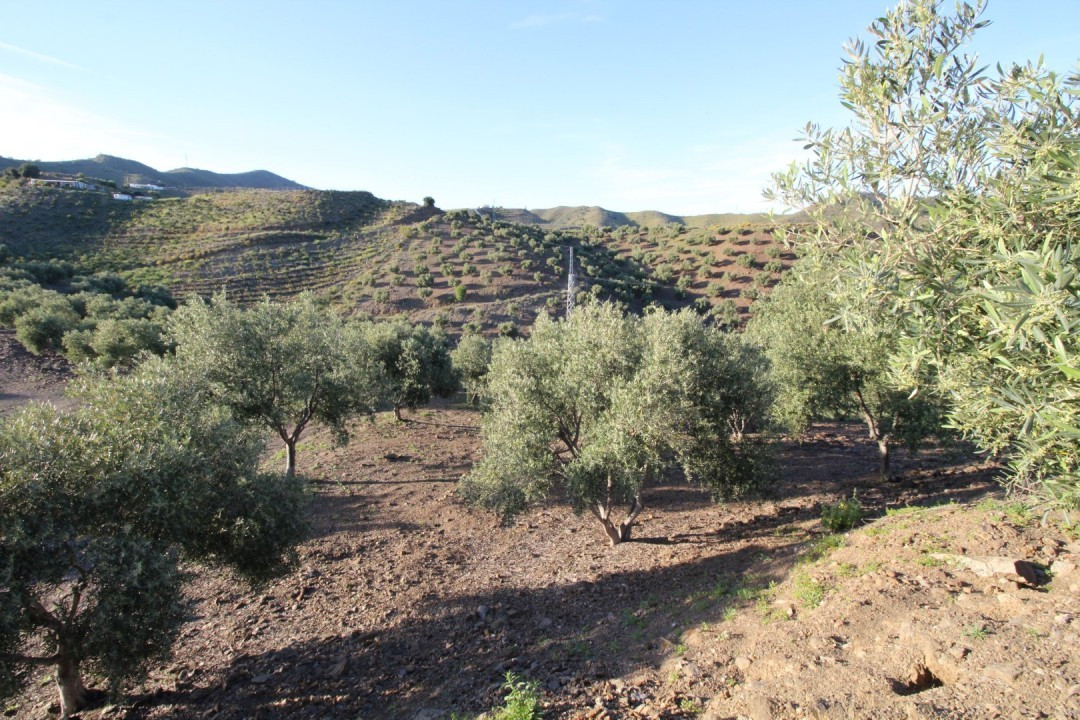 Plots for sale in Benajarafe Costa Del Sol East, Málaga, Spain
