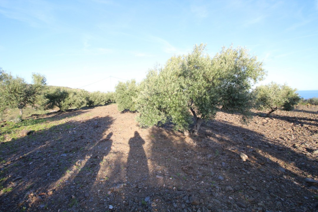 Plots for sale in Benajarafe Costa Del Sol East, Málaga, Spain