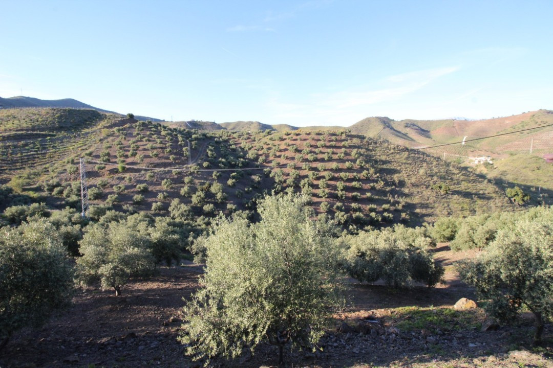Plots for sale in Benajarafe Costa Del Sol East, Málaga, Spain