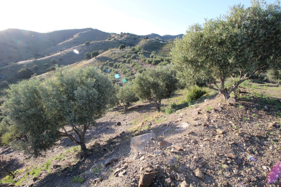 Se vende Terreno Rustico  en Costa Del Sol East, Málaga, España