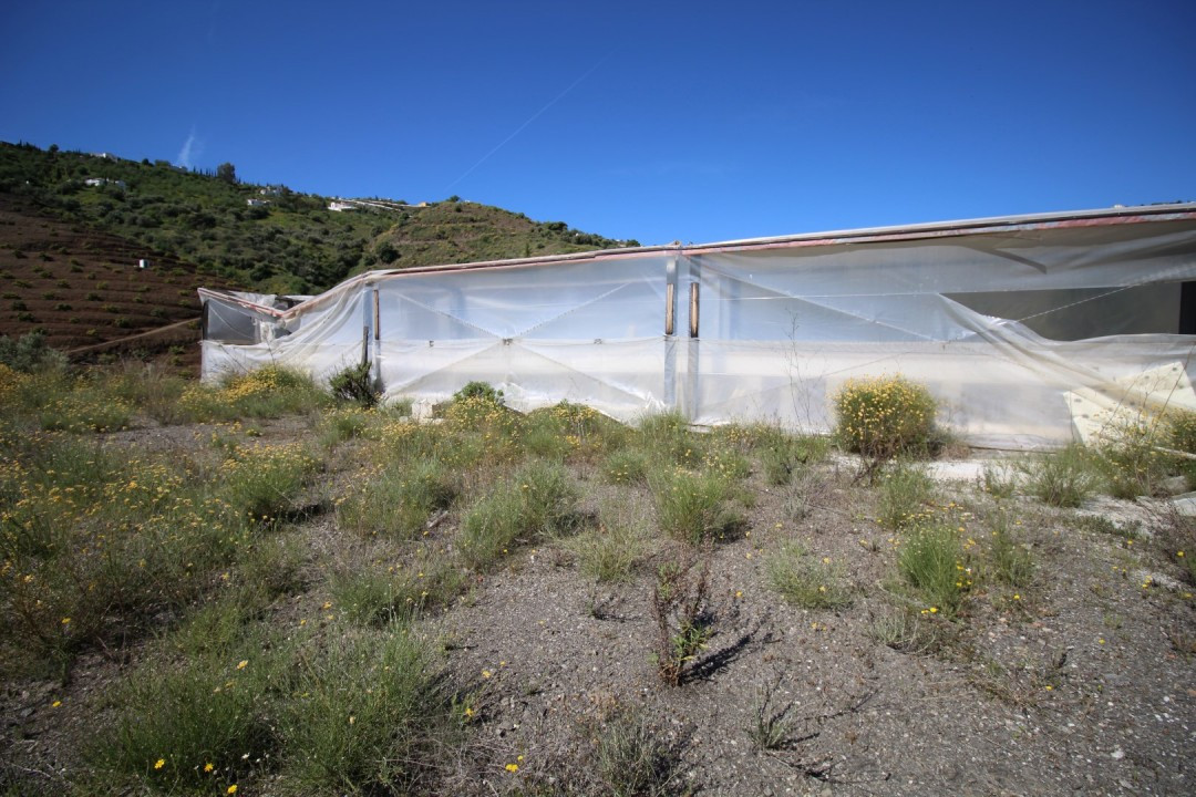 Se vende Terreno Rustico  en Costa Del Sol East, Málaga, España