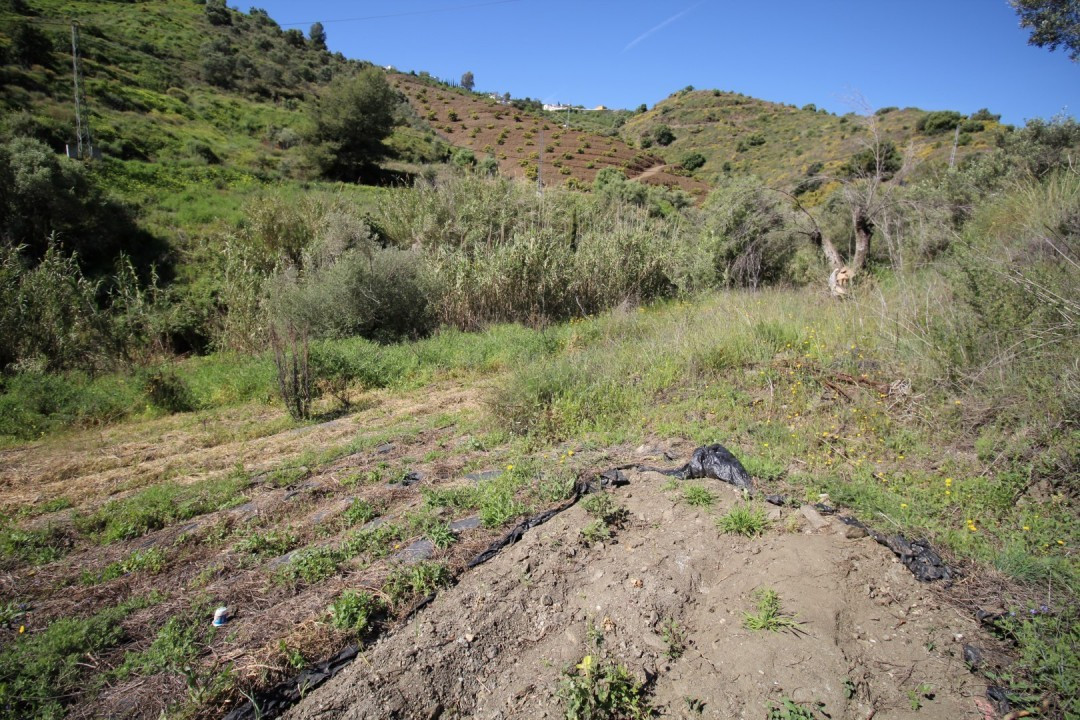 Se vende Terreno Rustico  en Costa Del Sol East, Málaga, España