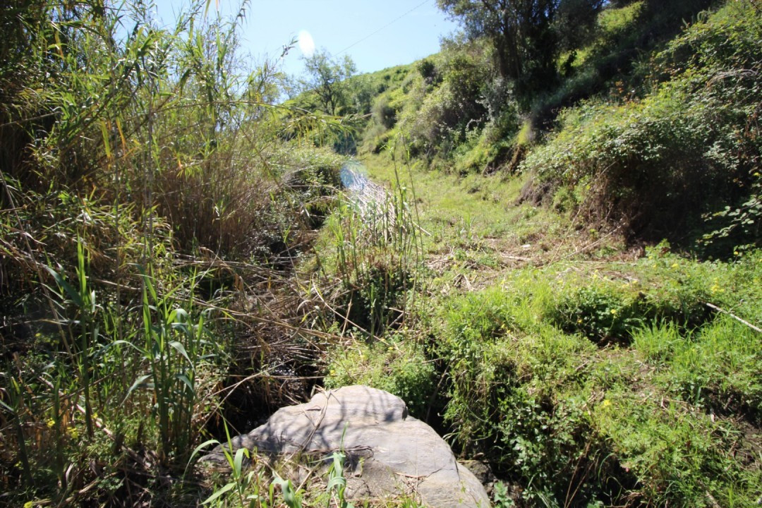 Se vende Terreno Rustico  en Costa Del Sol East, Málaga, España