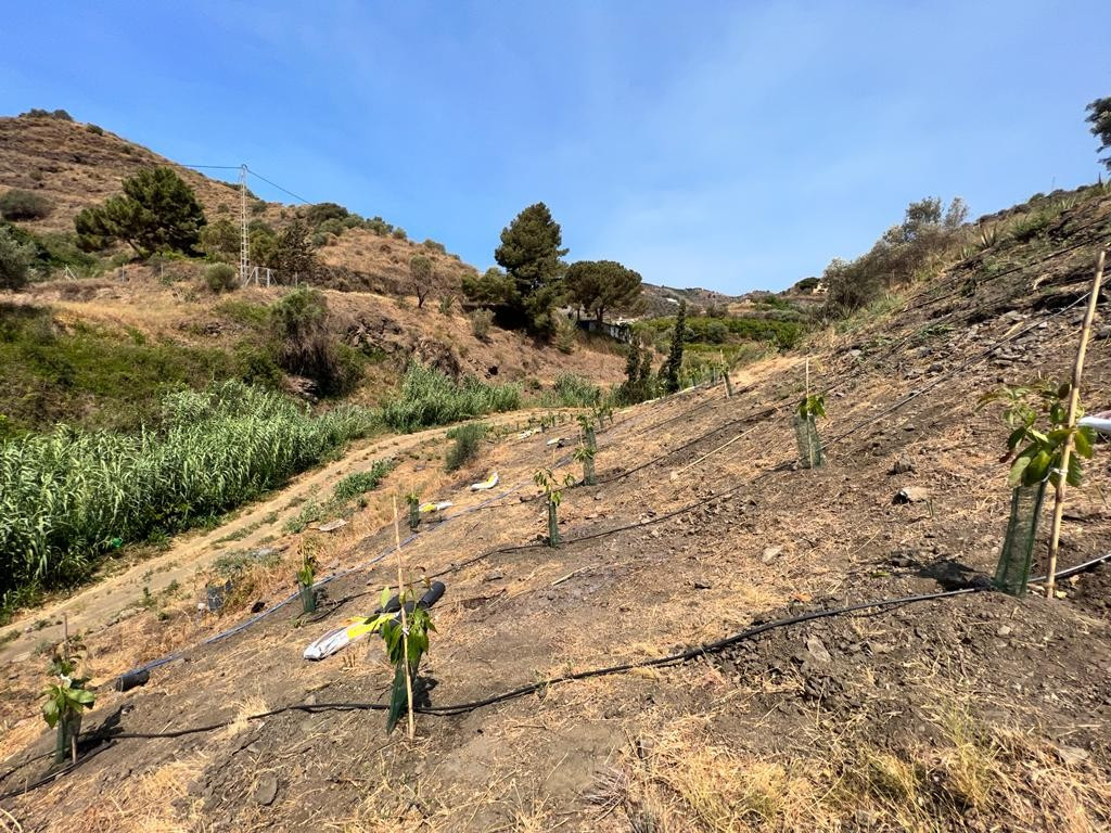 Se vende Terreno Rustico  en Costa Del Sol East, Málaga, España