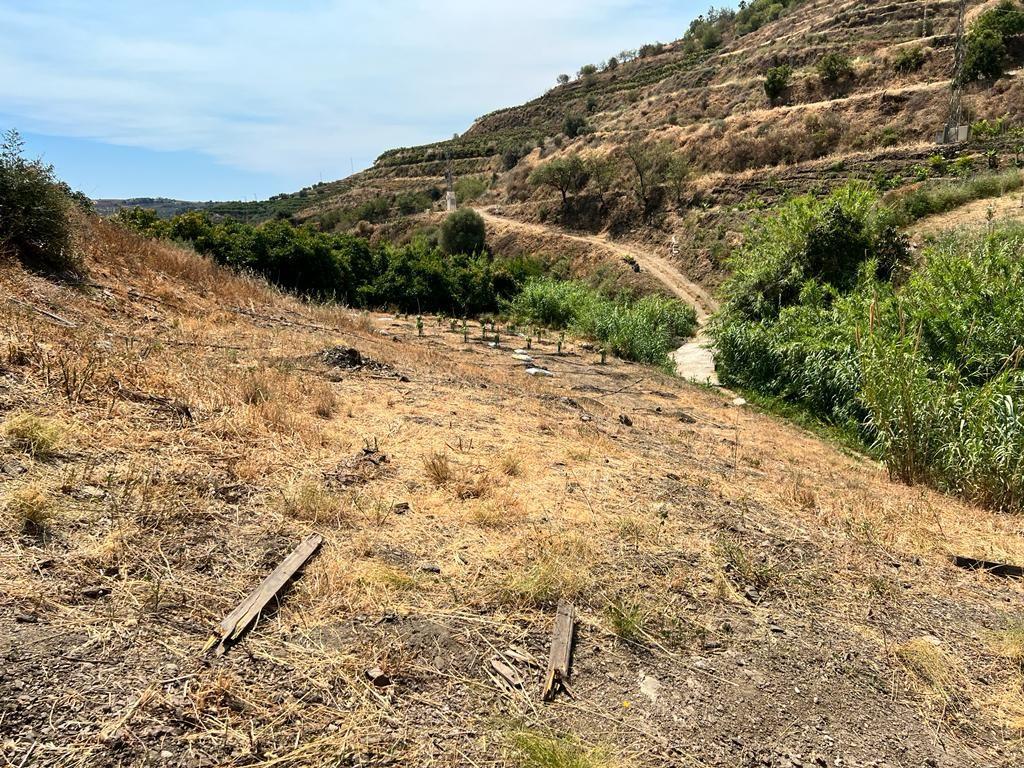Se vende Terreno Rustico  en Costa Del Sol East, Málaga, España