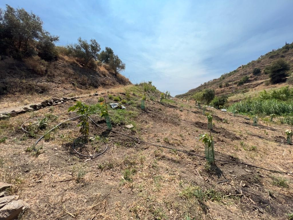 Se vende Terreno Rustico  en Costa Del Sol East, Málaga, España