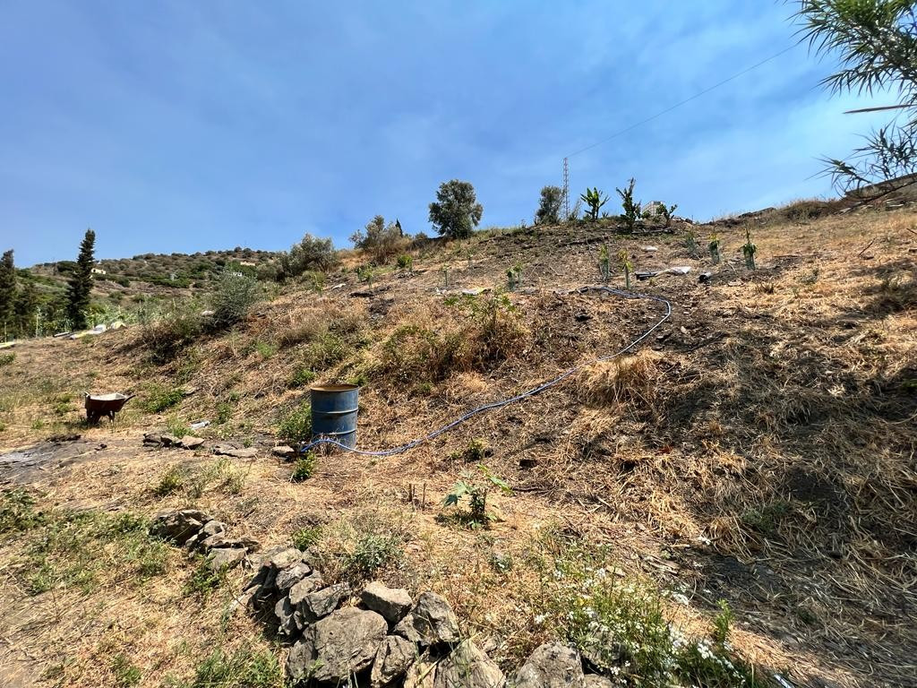 Se vende Terreno Rustico  en Costa Del Sol East, Málaga, España