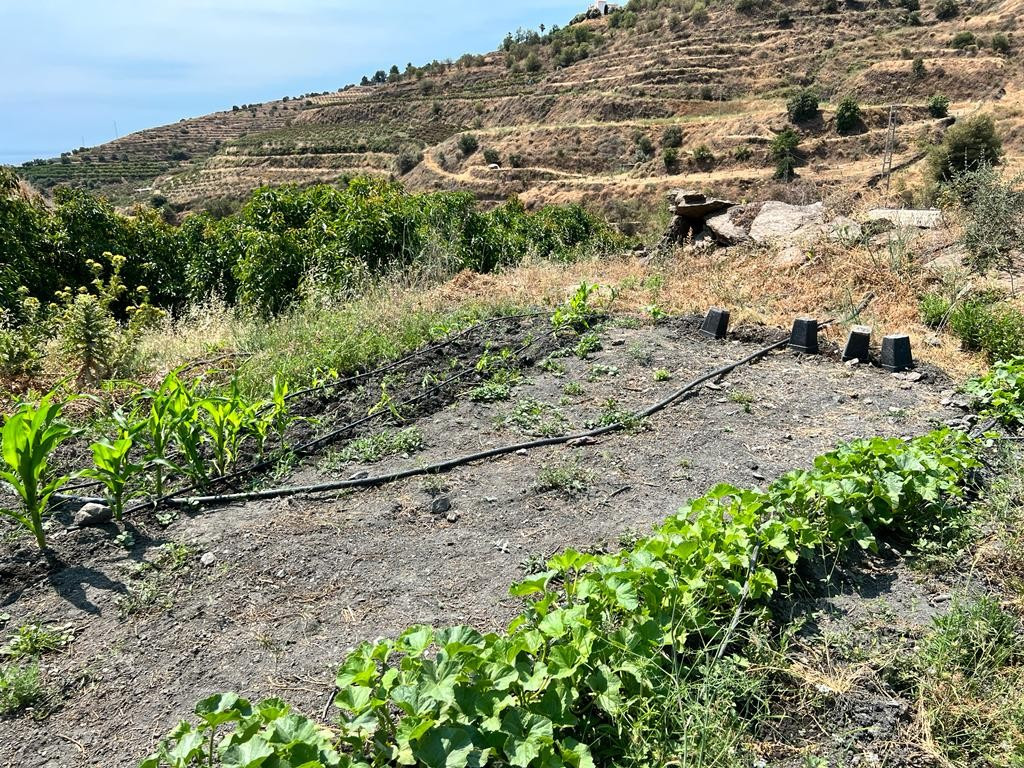 Se vende Terreno Rustico  en Costa Del Sol East, Málaga, España