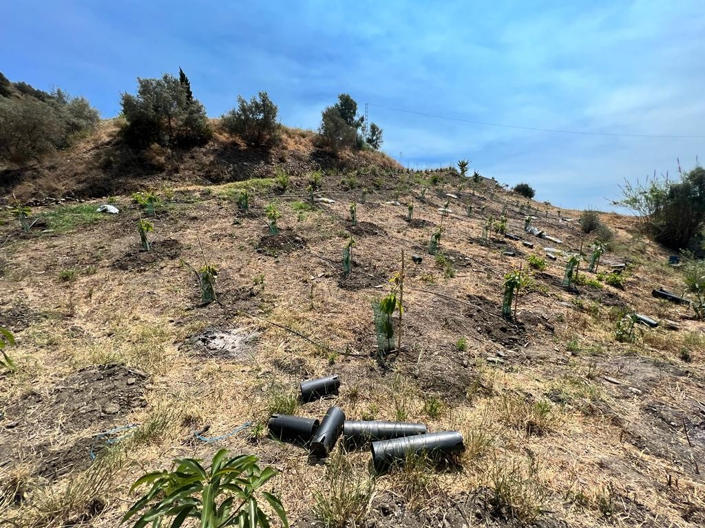 Se vende Terreno Rustico  en Costa Del Sol East, Málaga, España