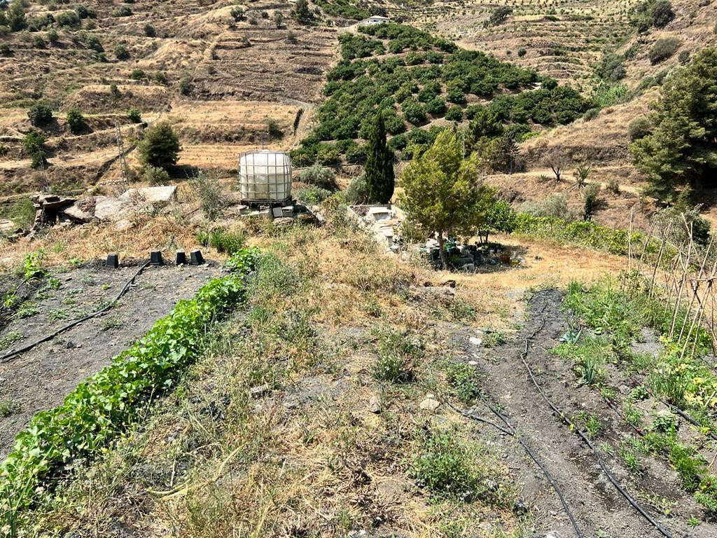 Se vende Terreno Rustico  en Costa Del Sol East, Málaga, España