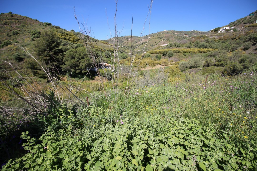 Se vende Terreno Rustico  en Costa Del Sol East, Málaga, España