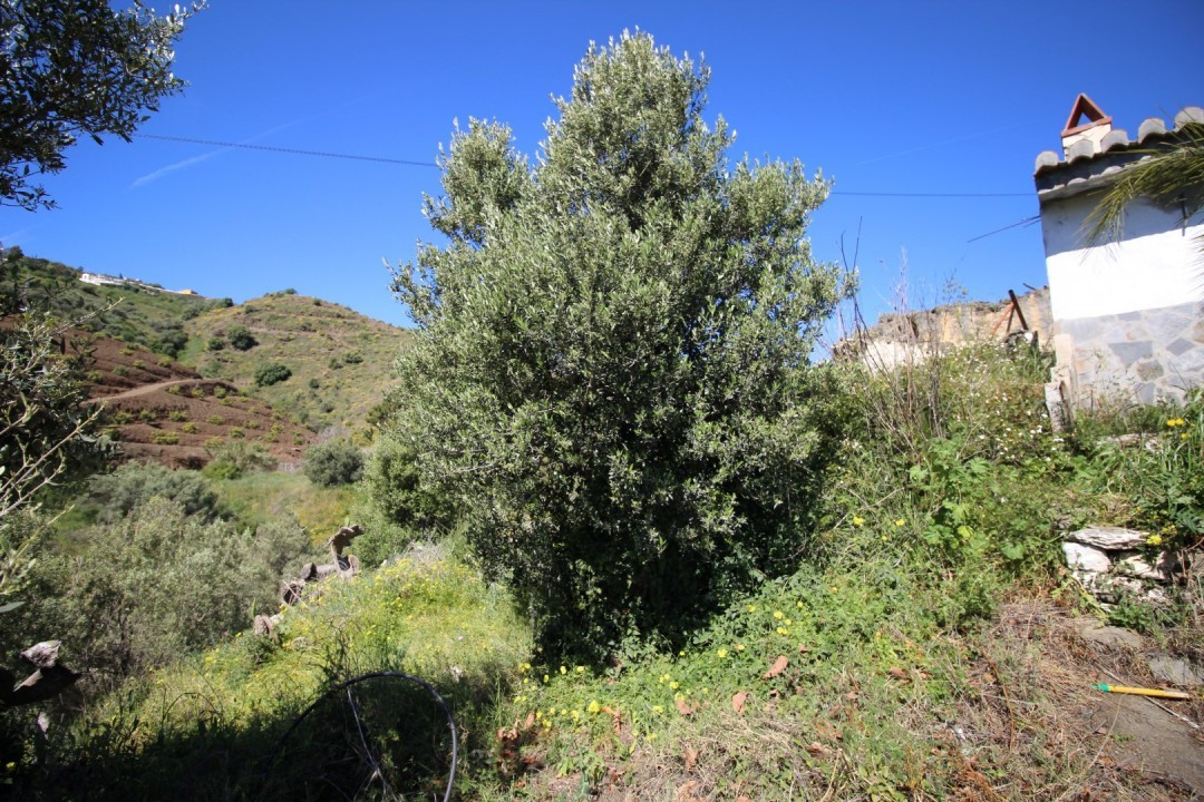 Se vende Terreno Rustico  en Costa Del Sol East, Málaga, España