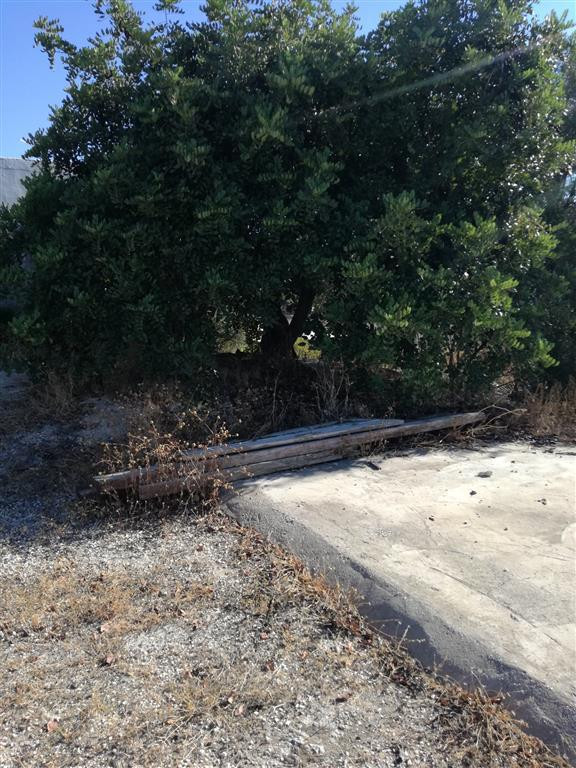 Se vende Terreno Rustico  en Costa Del Sol, Málaga, España