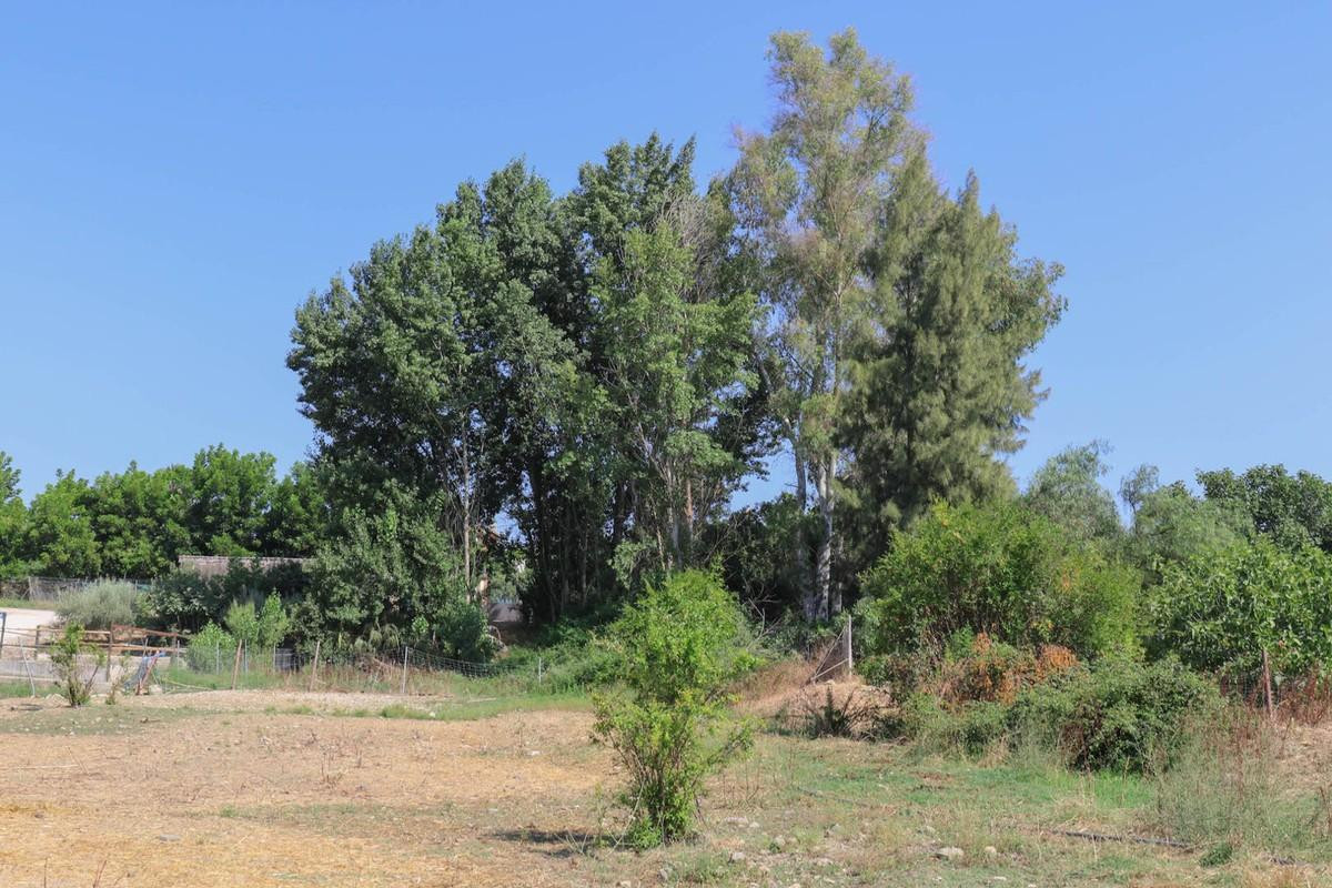 Se vende Terreno Rustico  en Costa Del Sol, Málaga, España