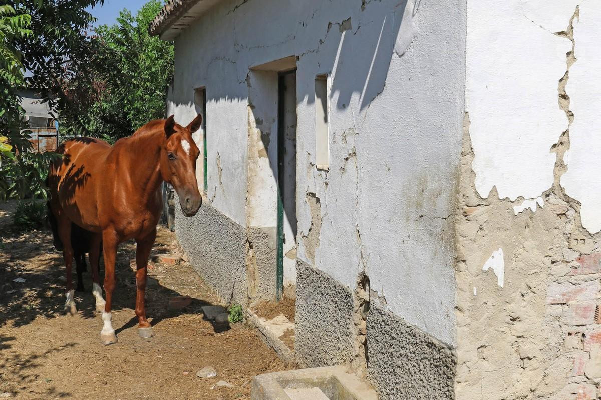 Se vende Terreno Rustico  en Costa Del Sol, Málaga, España