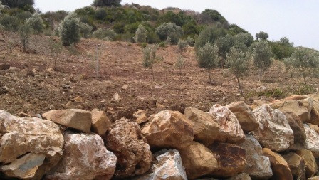 Plots for sale in Estepona Costa Del Sol, Málaga, Spain