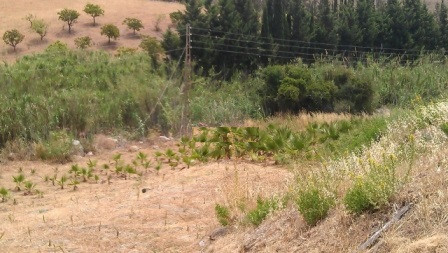 Plots for sale in Estepona Costa Del Sol, Málaga, Spain