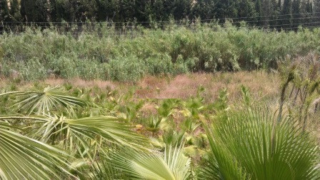 Plots for sale in Estepona Costa Del Sol, Málaga, Spain